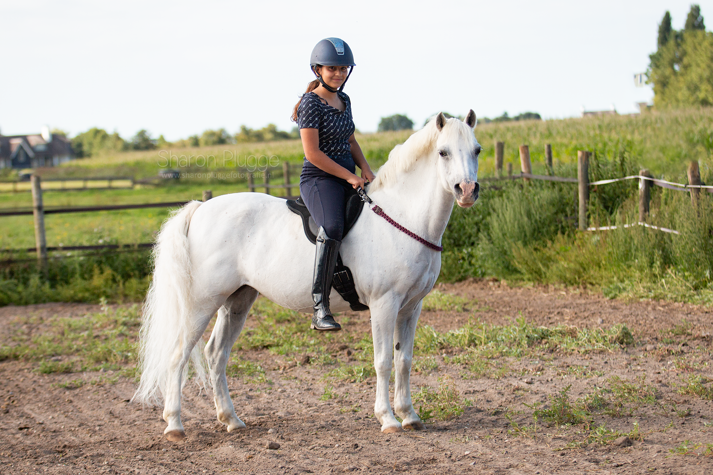 Edix Amazone Riding Saddle Pad