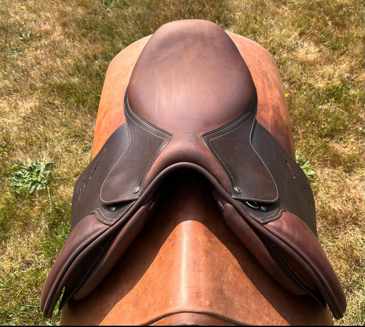 Antares Spooner| 17” |2N EXTRA WIDE Tree