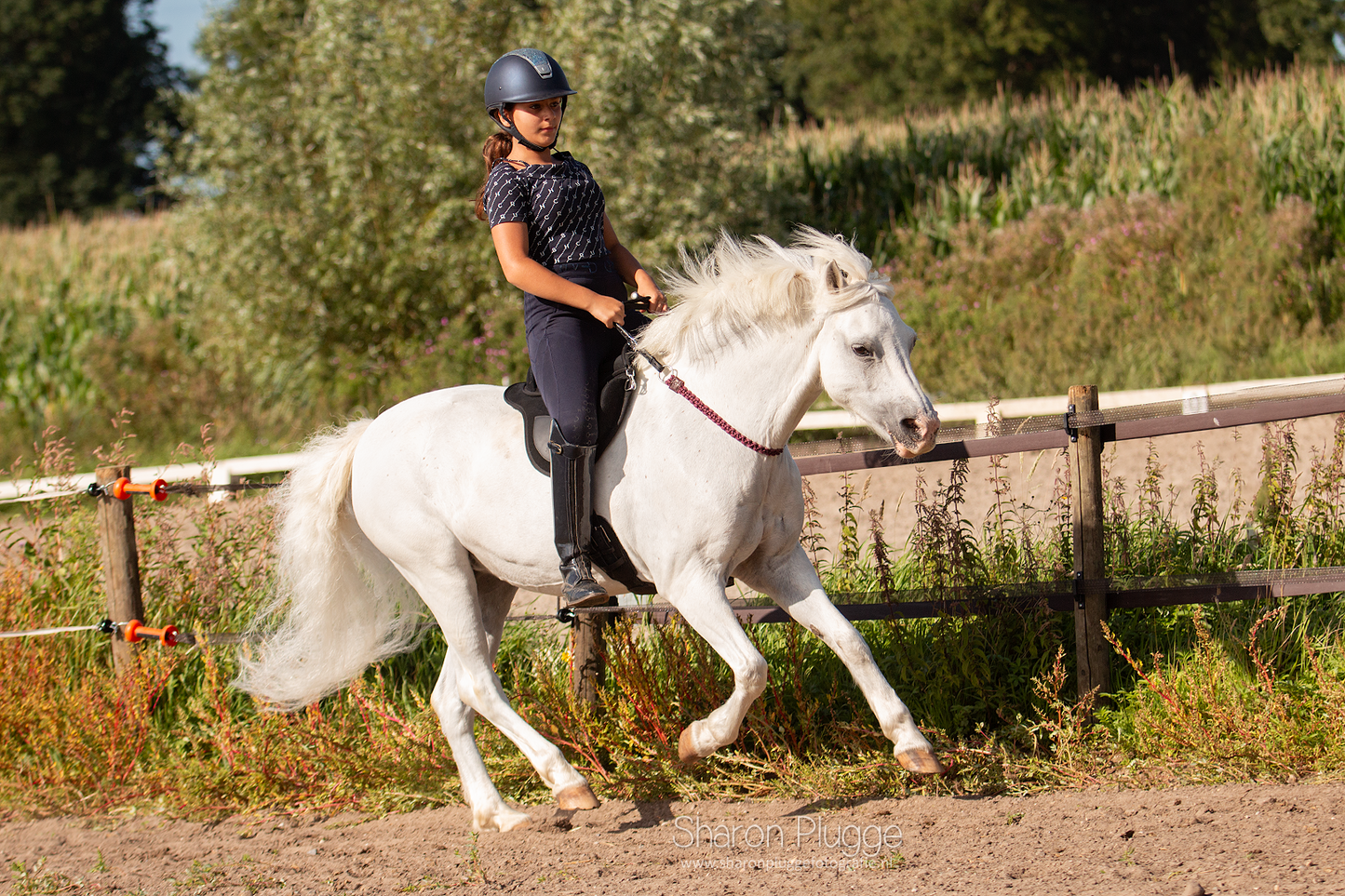 Edix Amazone Riding Saddle Pad