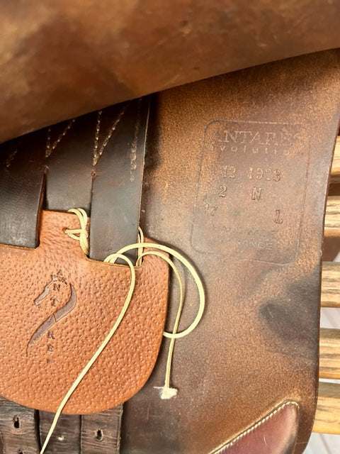 Antarès Evolution D|17”|2N