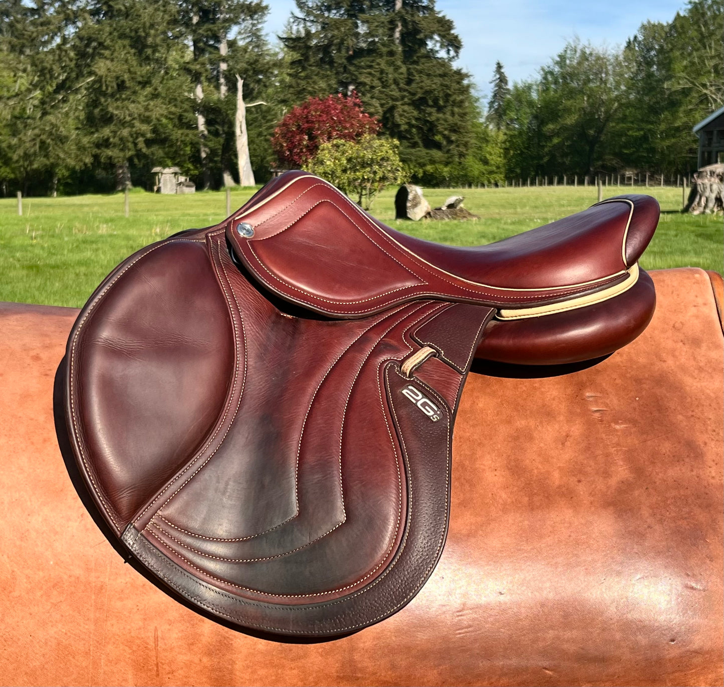 CWD | SE31 | 17”|2C