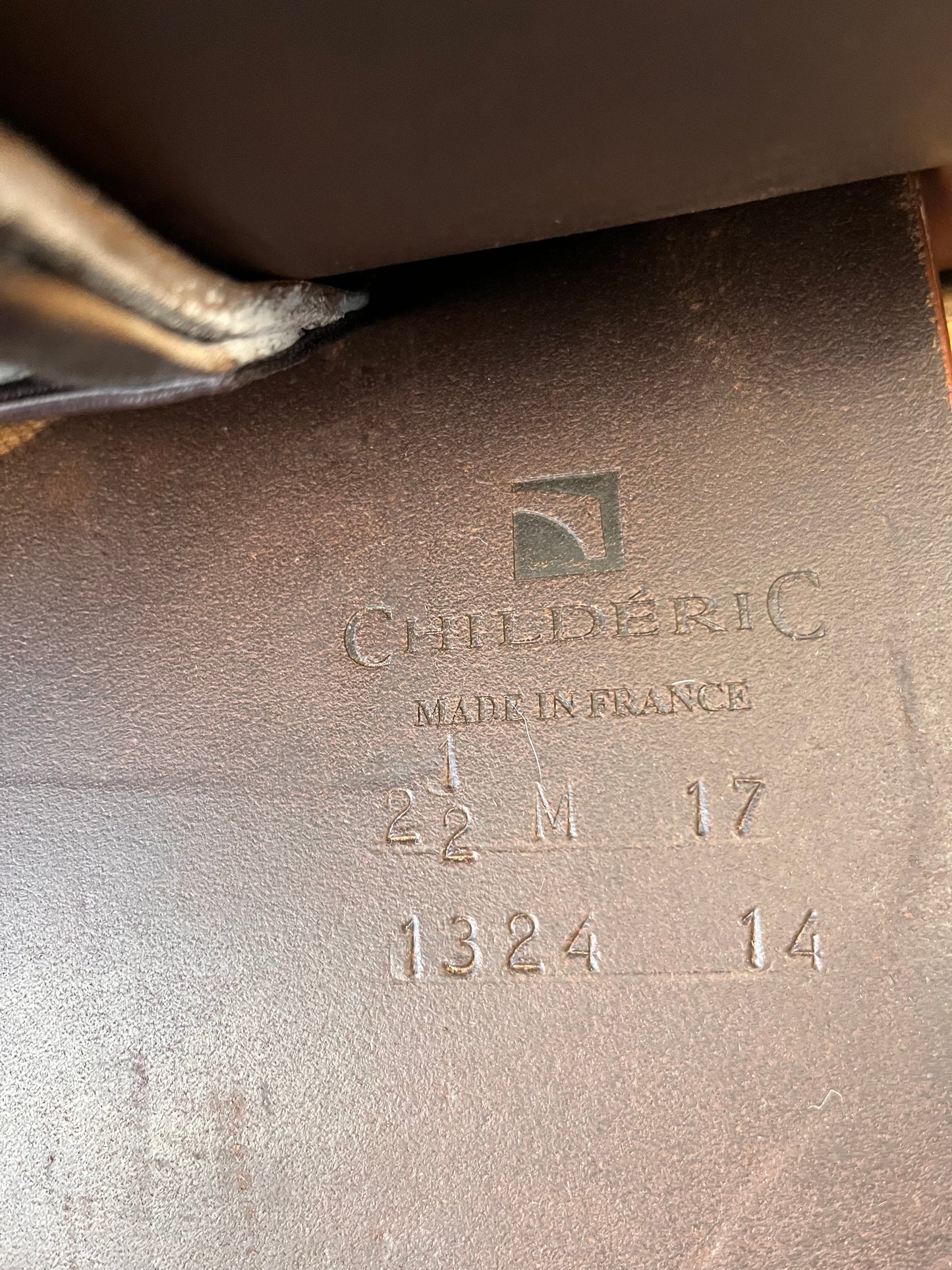 Luc Childeric | M | 17” | 2 1/2