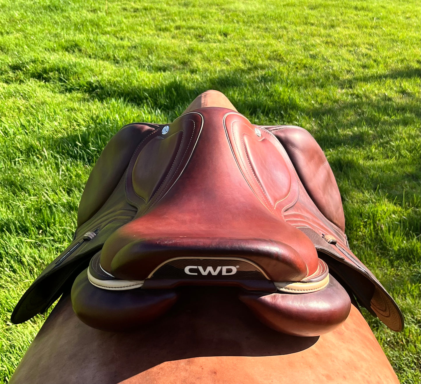 CWD | SE31 | 17”|2C