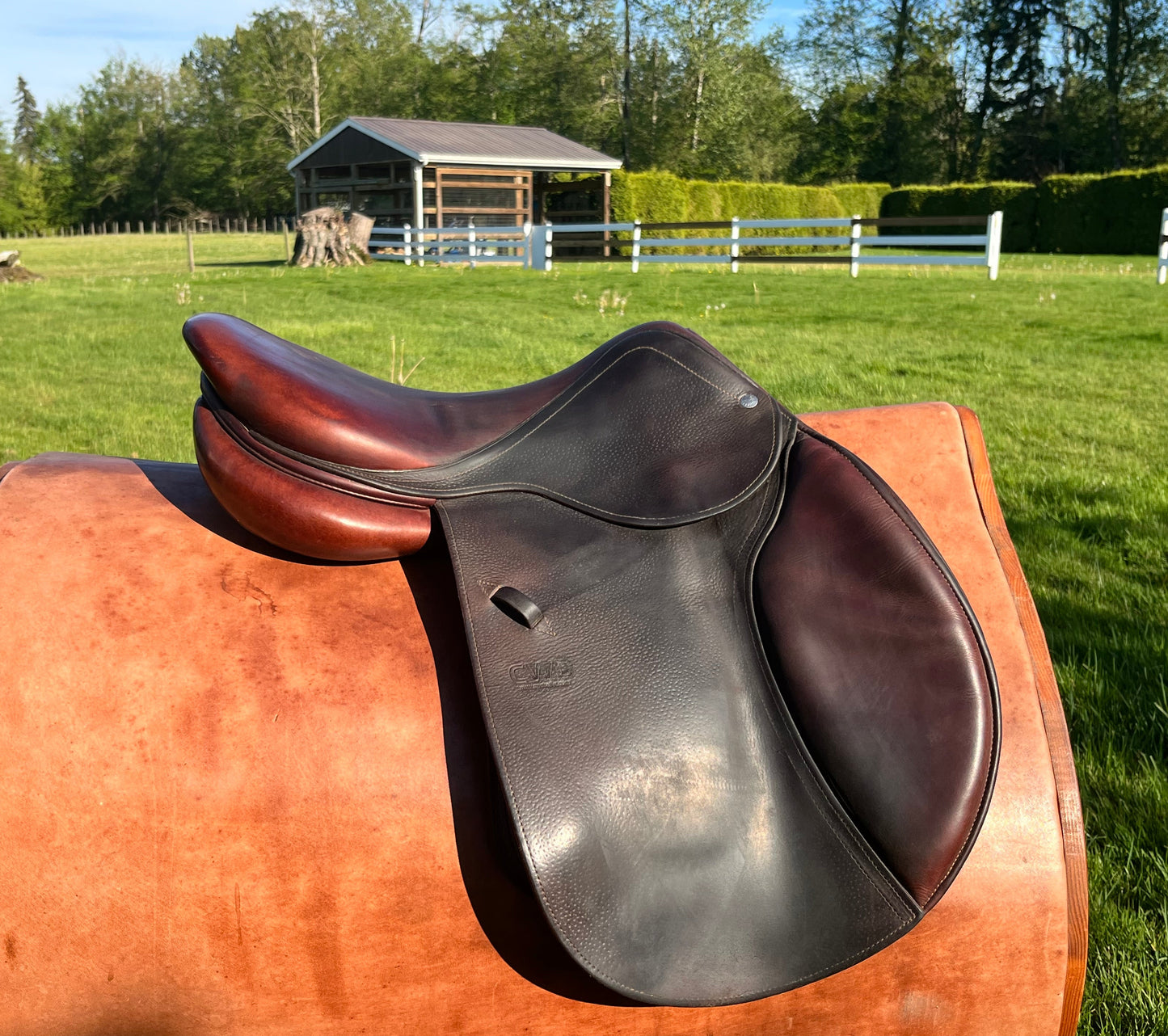 CWD | SE03| 17”|4L