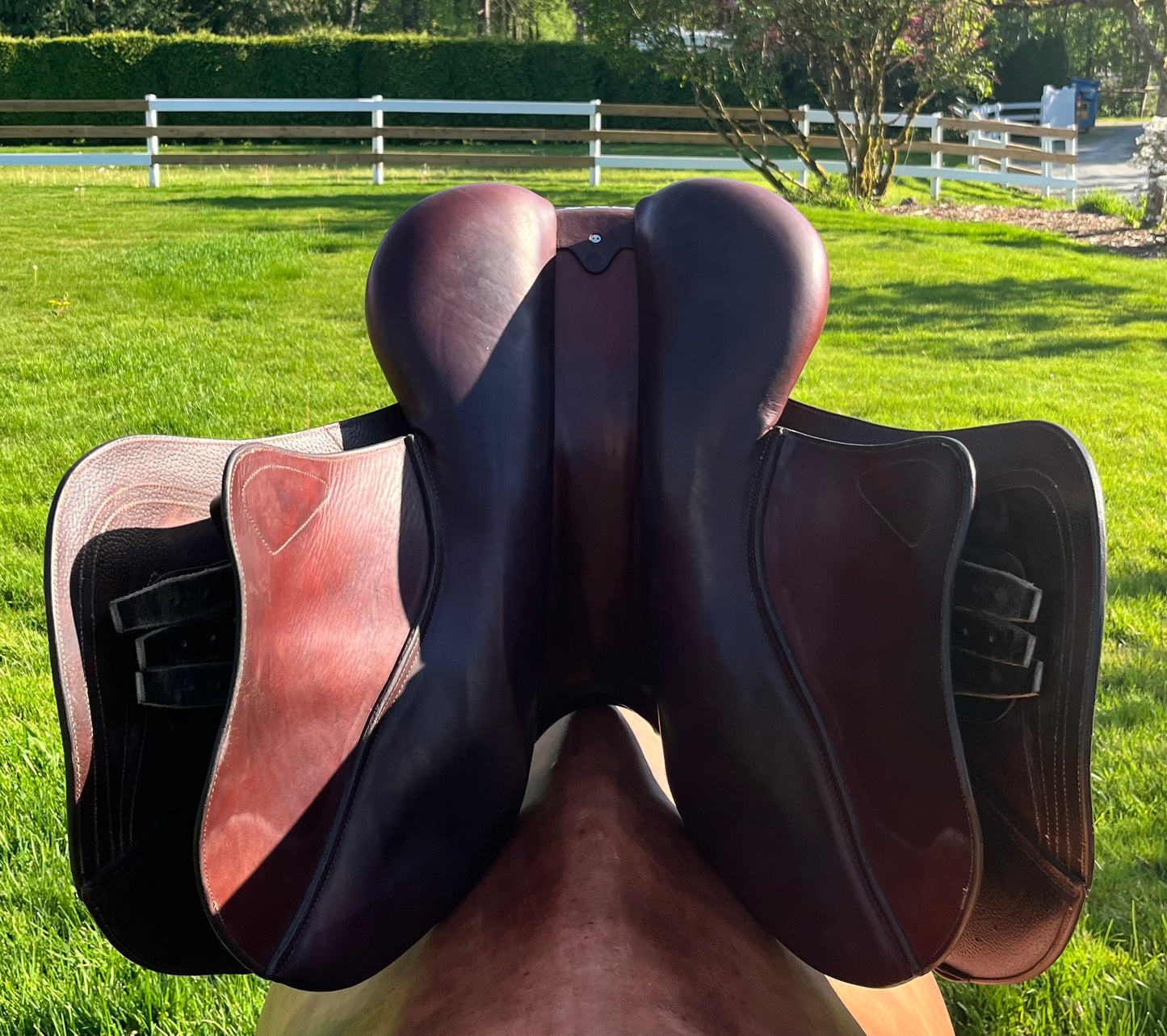 CWD | SE31 | 17”|2C