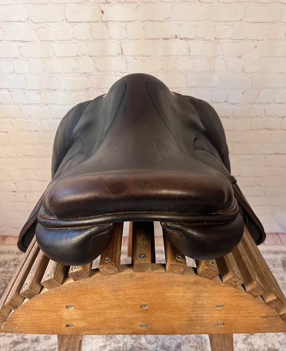 Voltaire | Calgary | 17.5” |3A |