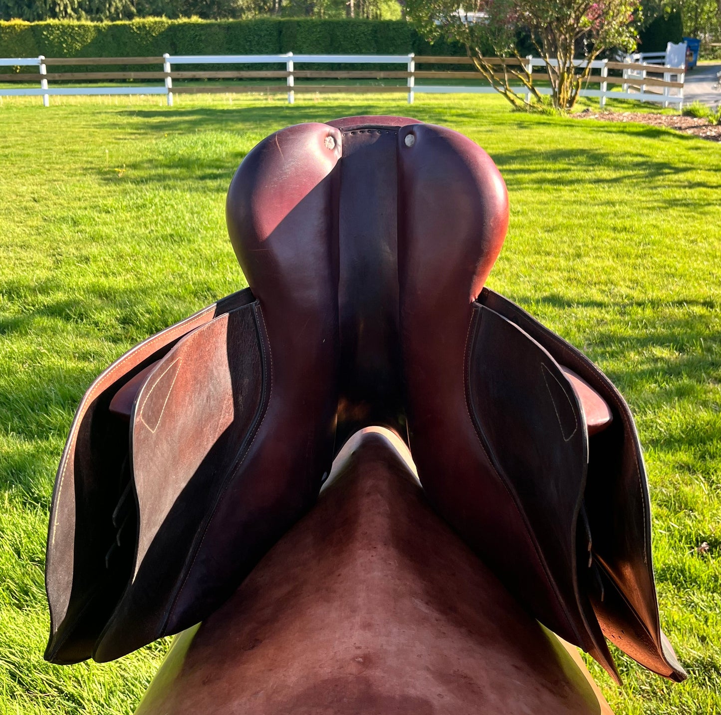 CWD | SE03| 17”|4L