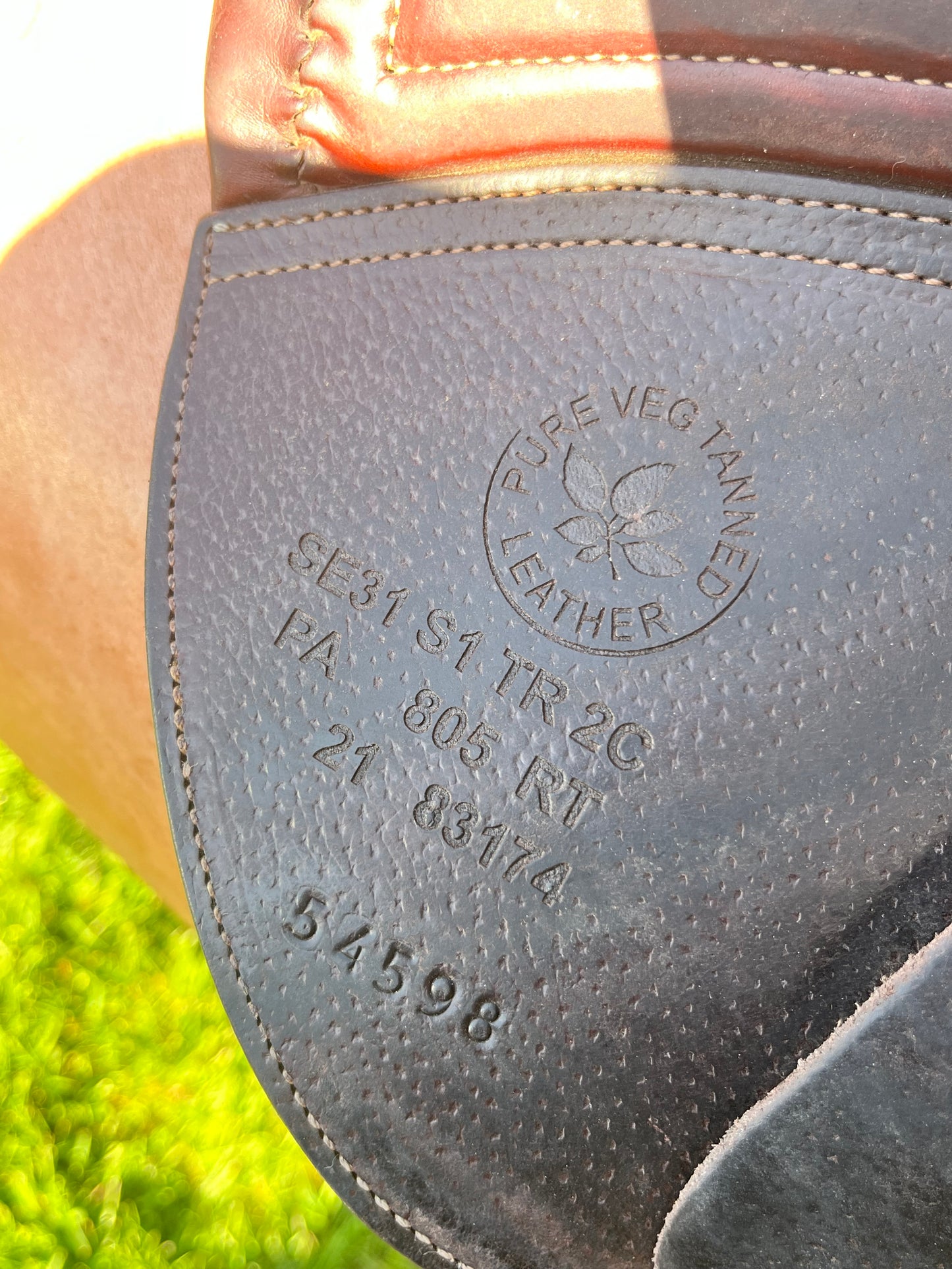 CWD | SE31 | 17”|2C