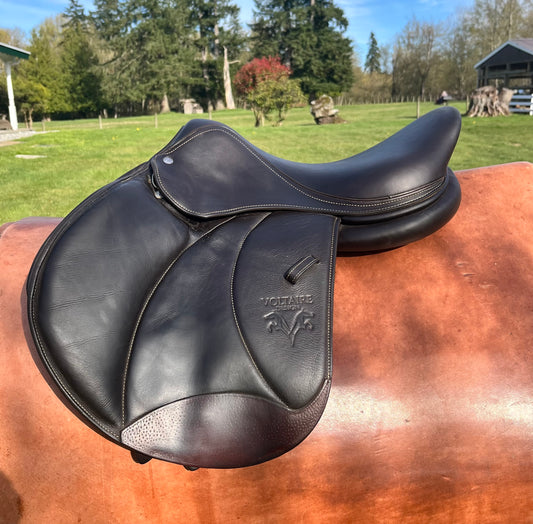 Voltaire | Stuttgart | 17” | 2A