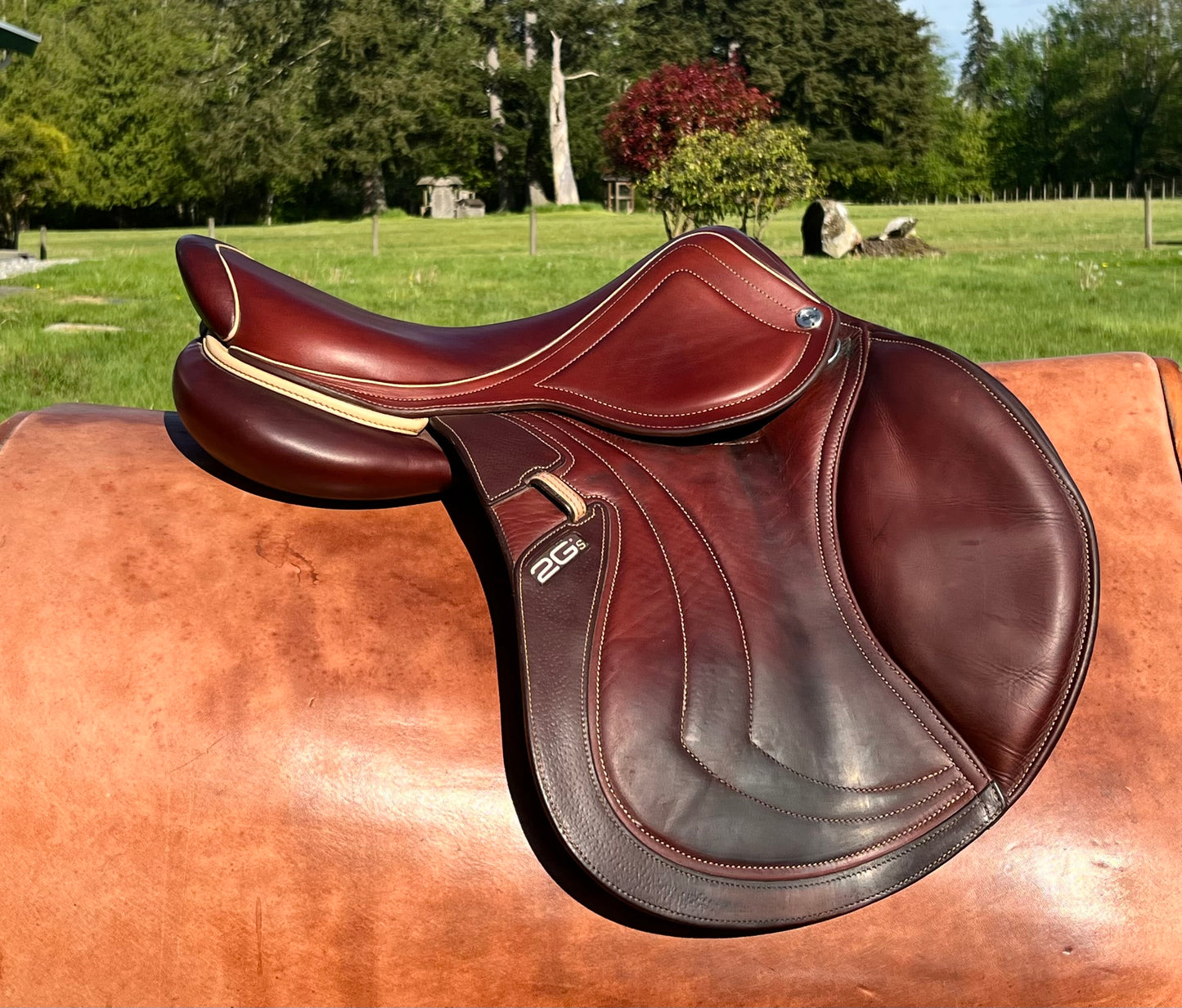 CWD | SE31 | 17”|2C
