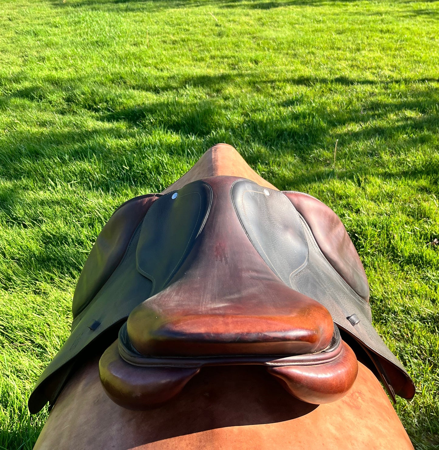 CWD | SE03| 17”|4L